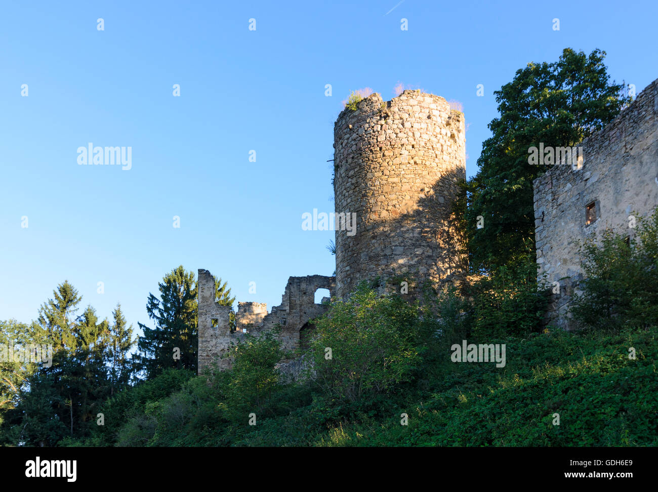Schönau im Mühlkreis: Prandegg Castello, mantenere, Austria, Oberösterreich, Austria superiore, Mühlviertel Foto Stock