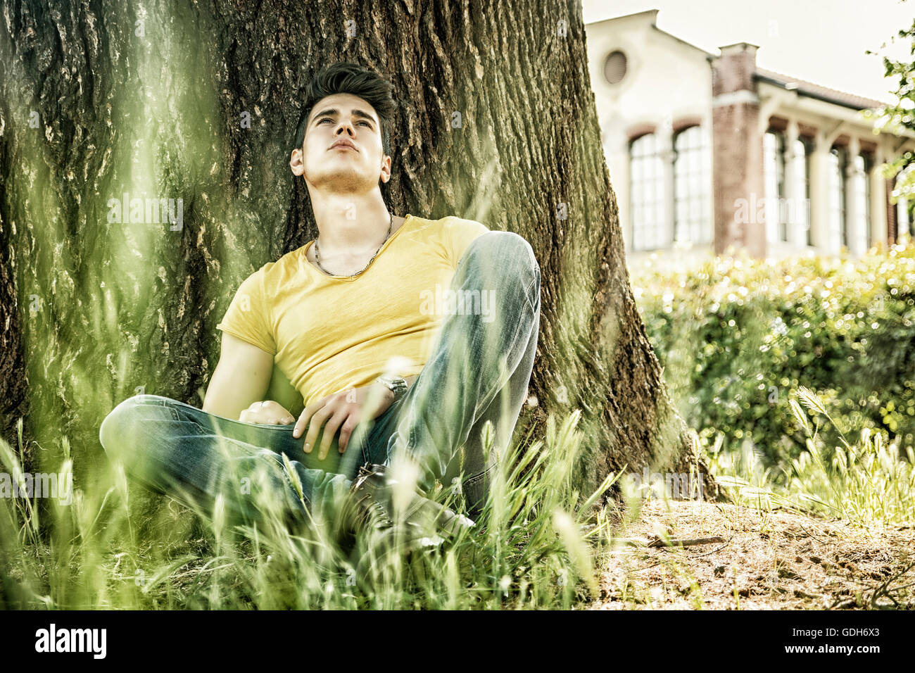 Attraente giovane park sonno o il riposo contro albero, rilassato in una soleggiata giornata estiva Foto Stock