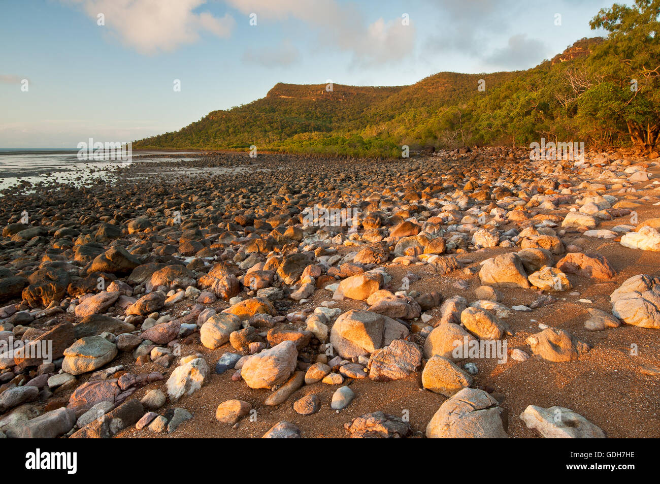 Smalleys Beach in Cape Hillsborough National Park. Foto Stock