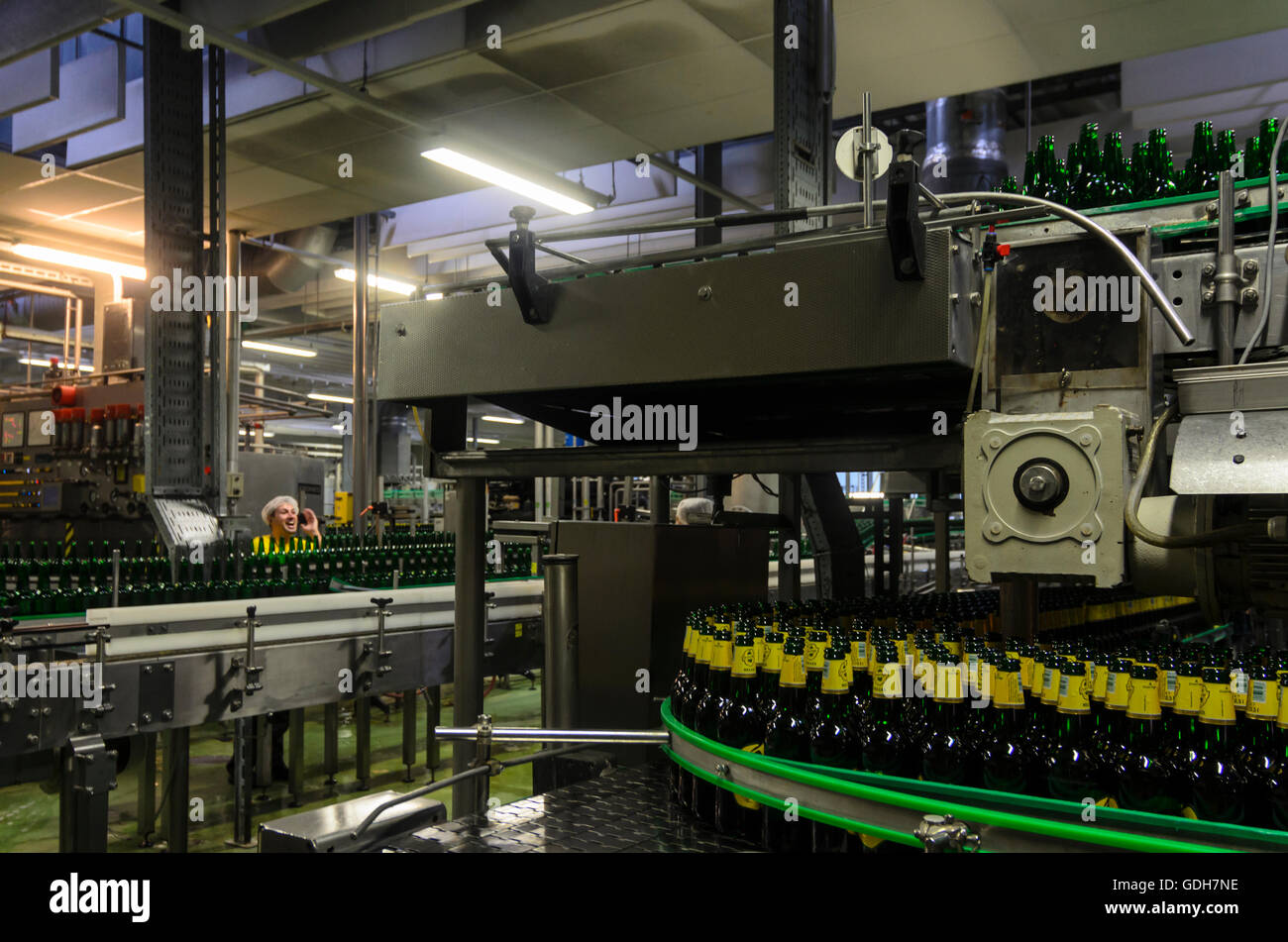 Wien, Vienna: imbottigliamento nella Ottakringer Brewery, Austria, Wien, 16. Foto Stock