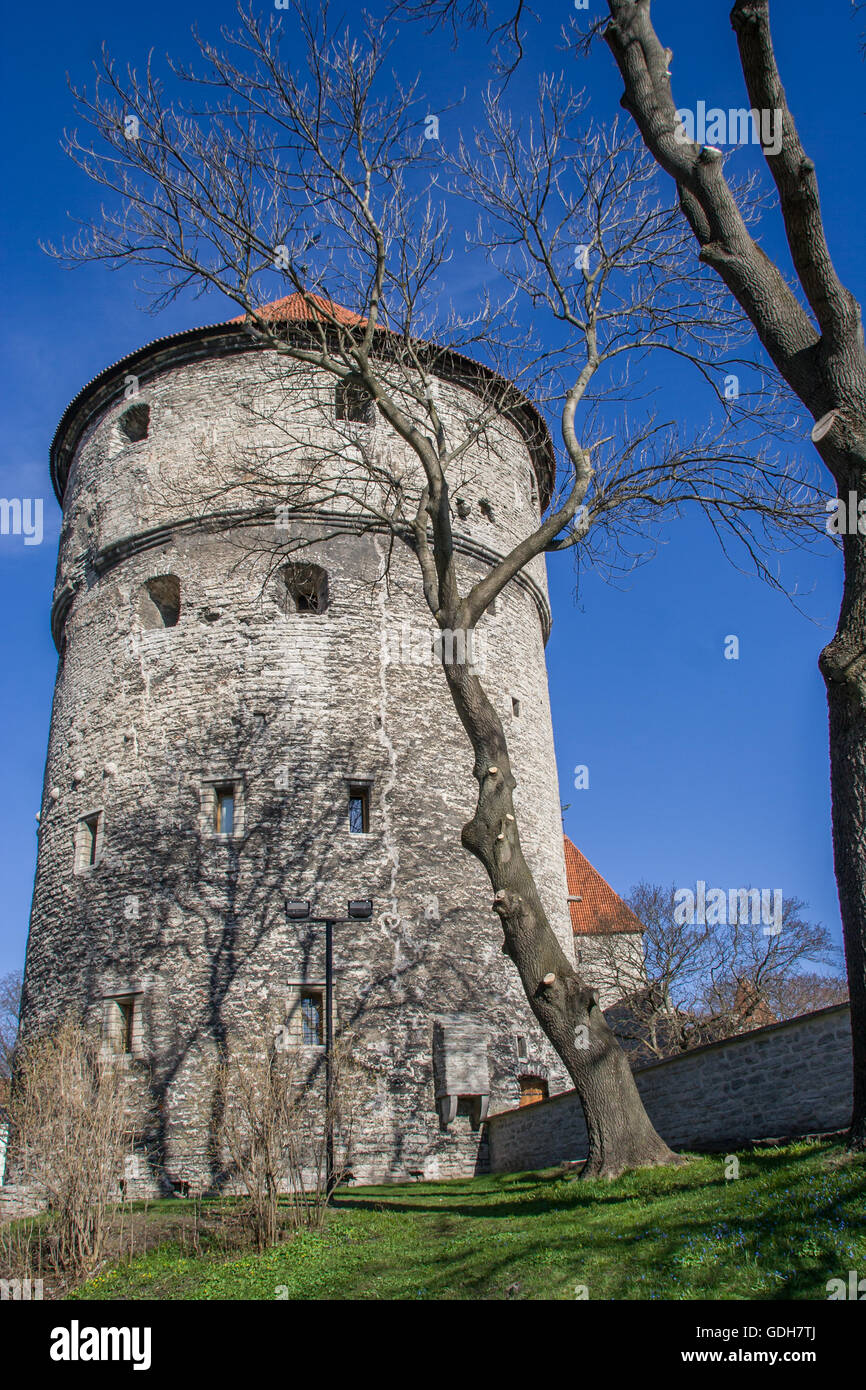 Torre di fortificazione del centro storico di Tallinn, Estonia Foto Stock