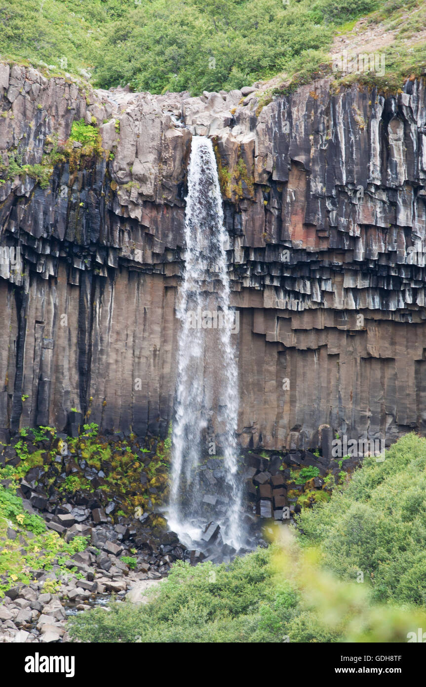 Islanda: vista di Svartifoss, il nero caduta una cascata in Skaftafell circondata da scure colonne di lava Foto Stock