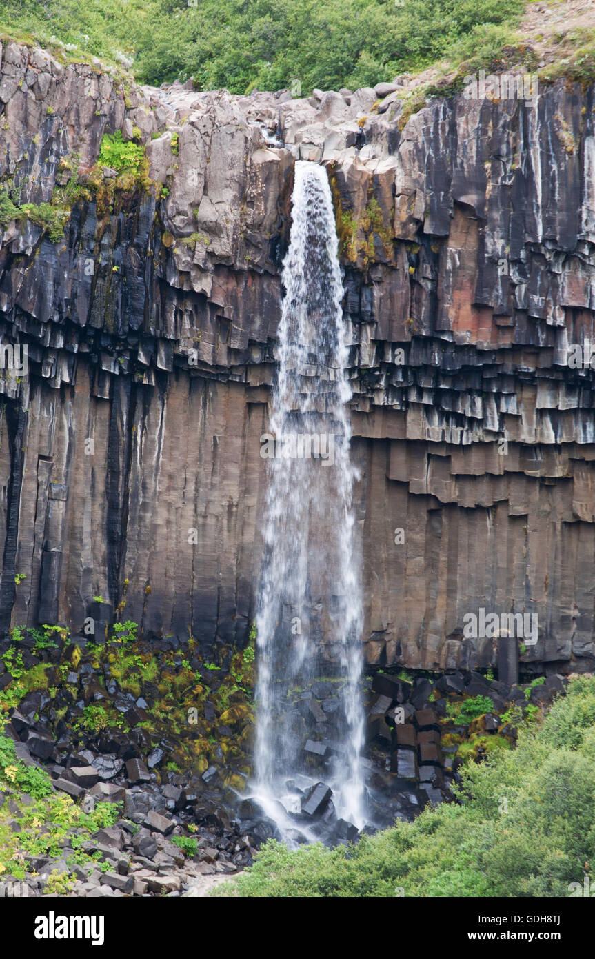 Islanda: vista di Svartifoss, il nero caduta una cascata in Skaftafell circondata da scure colonne di lava Foto Stock