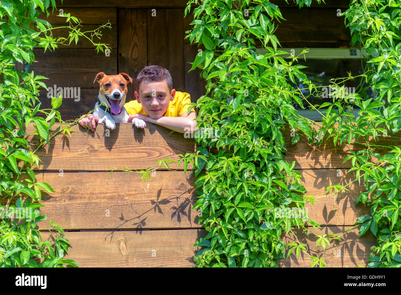 Ragazzo sorridente con il cane su treehouse. L'estate! Foto Stock