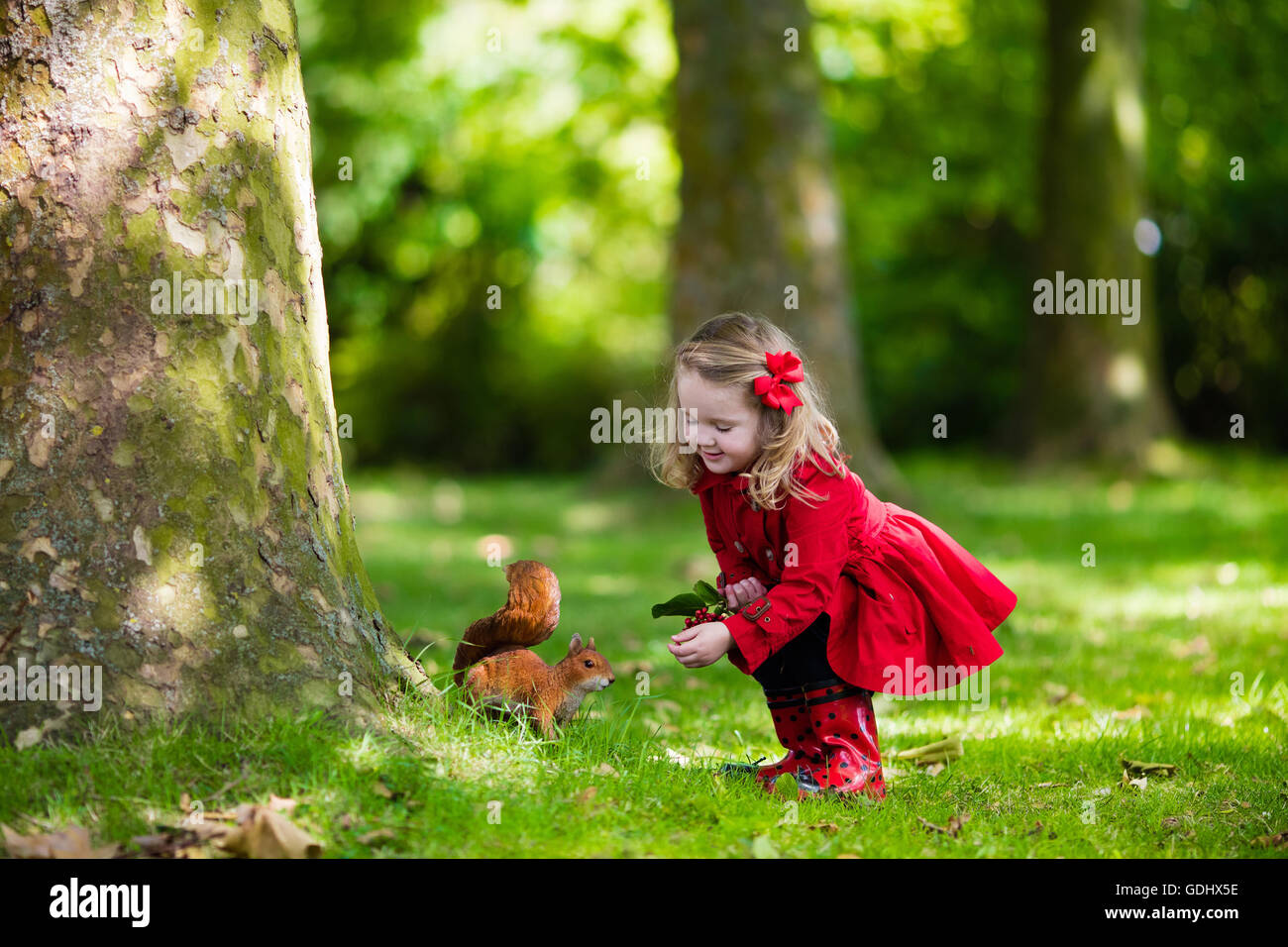 Ragazza scoiattolo alimentazione in autunno park. Bambina in rosso trench coat e stivali da pioggia guardare animale selvatico nella foresta di caduta Foto Stock