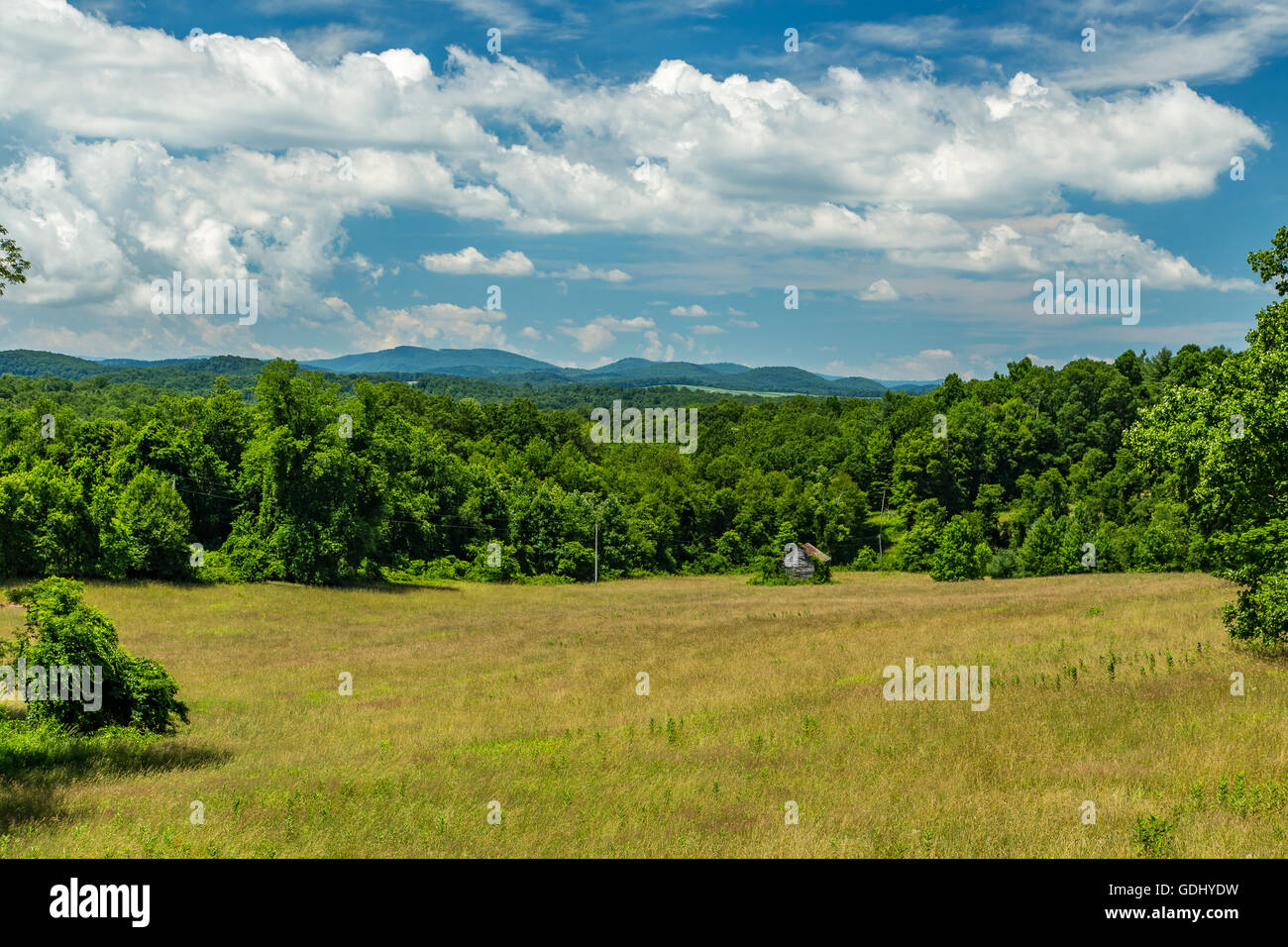 Una vista di un prato ai piedi delle Blue Ridge Mountains nella contea di Franklin, Virginia Foto Stock