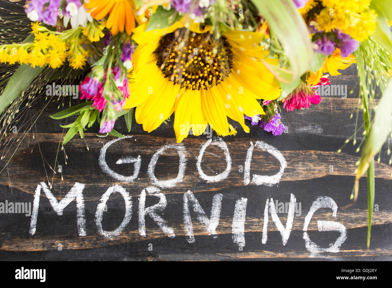 Parole di buona mattina con fiori estivi su un rustico sfondo di legno. Foto Stock