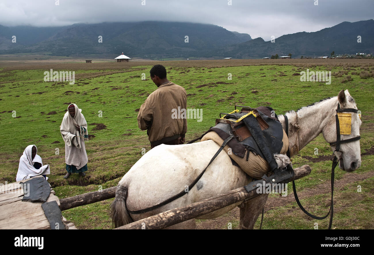 Tre persone stanno parlando. L'uomo è un cavallo carrello rider. ( Etiopia) Foto Stock