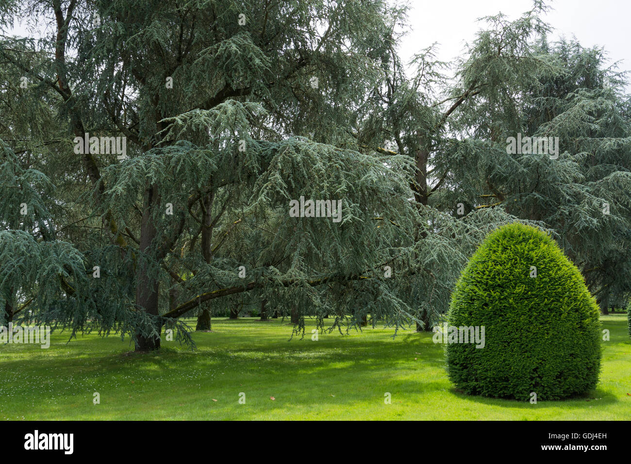 Parco di Château Mouton-Rothschild, Pauillac, Gironde, Francia Foto Stock