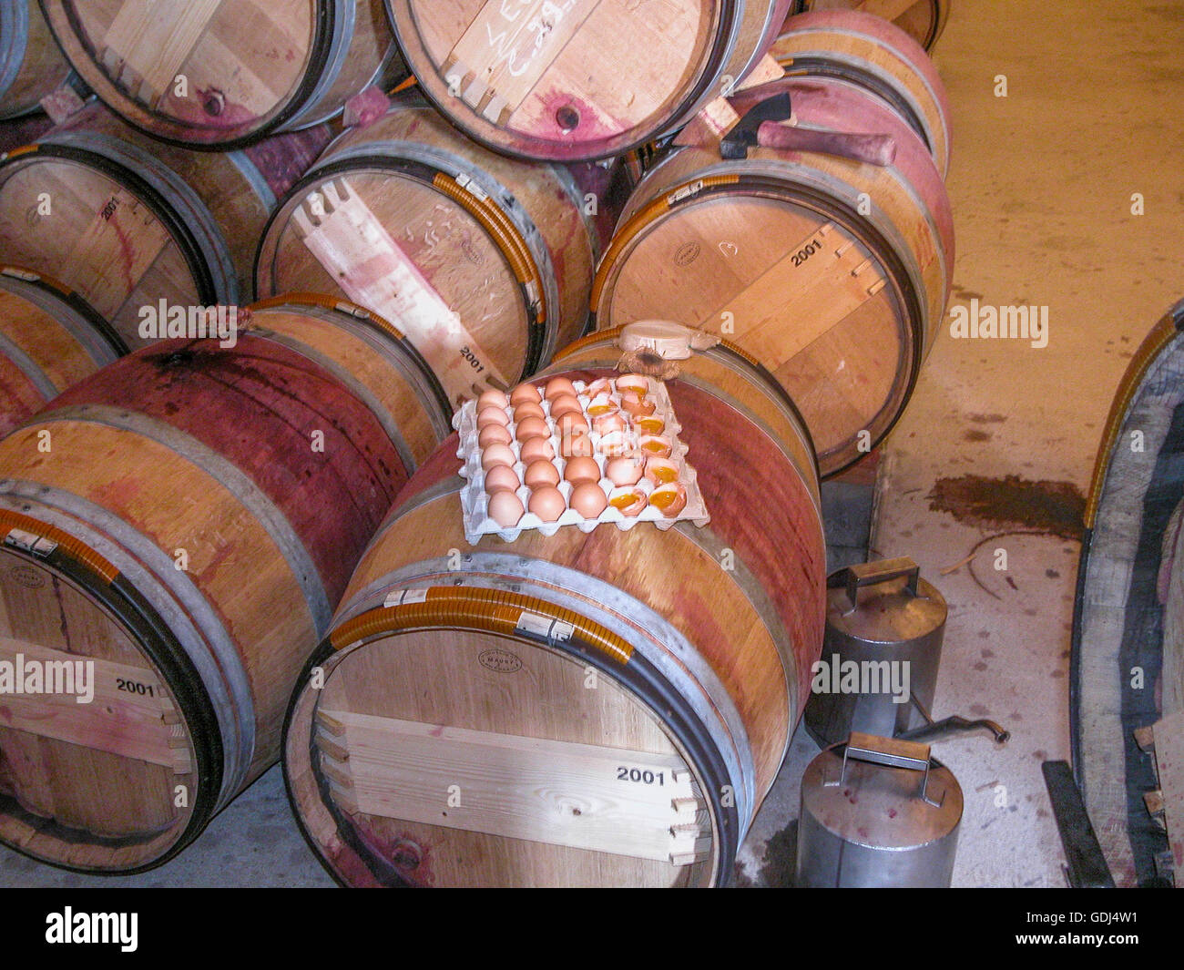 Bianco d'uovo chiarificazione dei vini rossi in fusti a Château Léoville-Barton, Saint-Julien Foto Stock