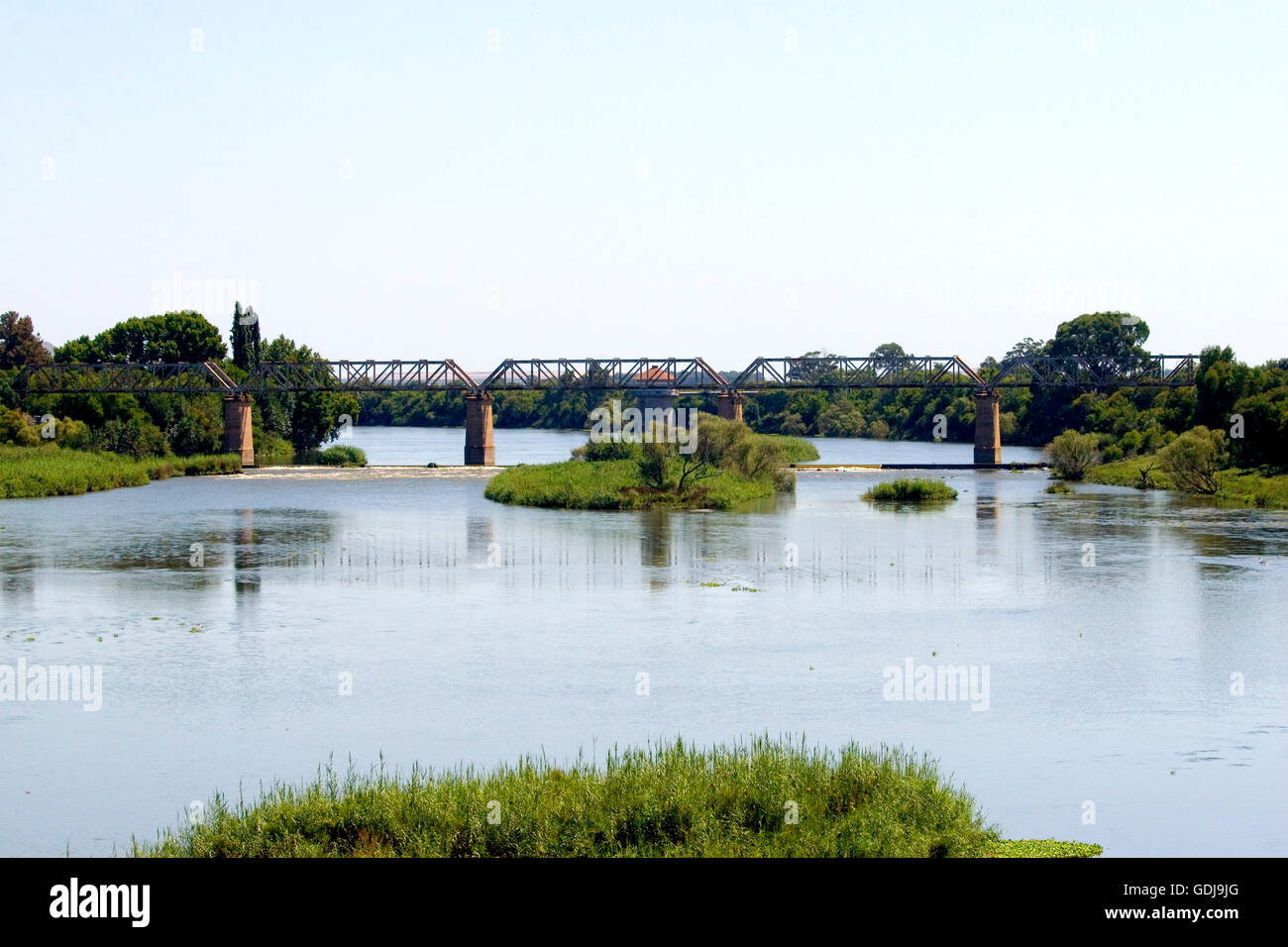 Acciaio, il ponte sul fiume Vaal Vaal, barriere coralline tubazione che offre agli alberi, isole Orcadi, Orange Free State, Sud Africa Foto Stock
