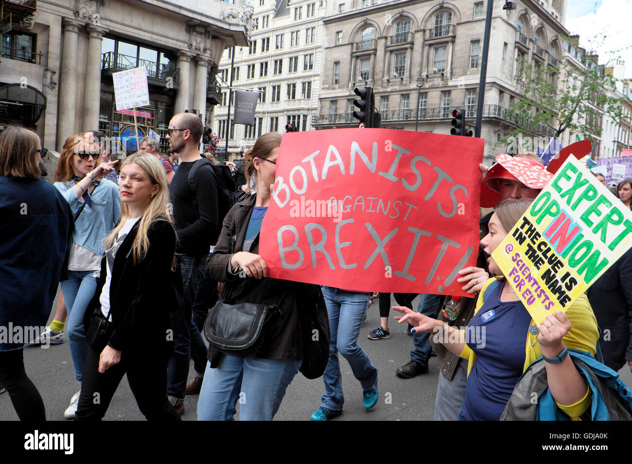 Rimangono i manifestanti portano i botanici contro Brexit firmare al 'Marco per l'Europa" anti lasciare street protesta Londra Inghilterra UK UE Luglio 2015 KATHY DEWITT Foto Stock