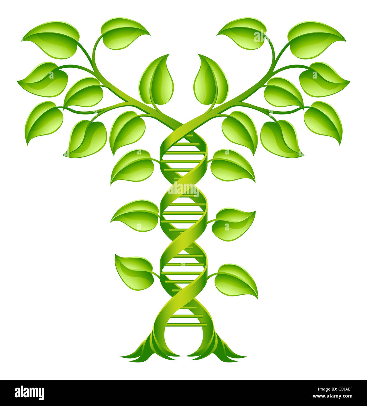 Impianto di DNA a doppia elica concetto, può fare riferimento alla medicina alternativa, ritagliare modificazione genetica o di altre aziende del settore sanitario e medico di tema. Foto Stock