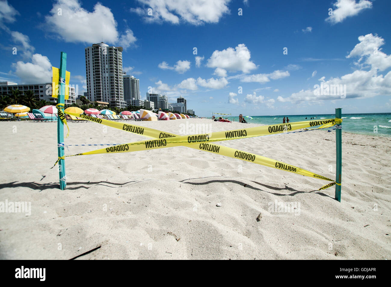 Parte di South Beach cordoned fuori a causa di nidificazione della tartaruga - Miami, Florida Foto Stock