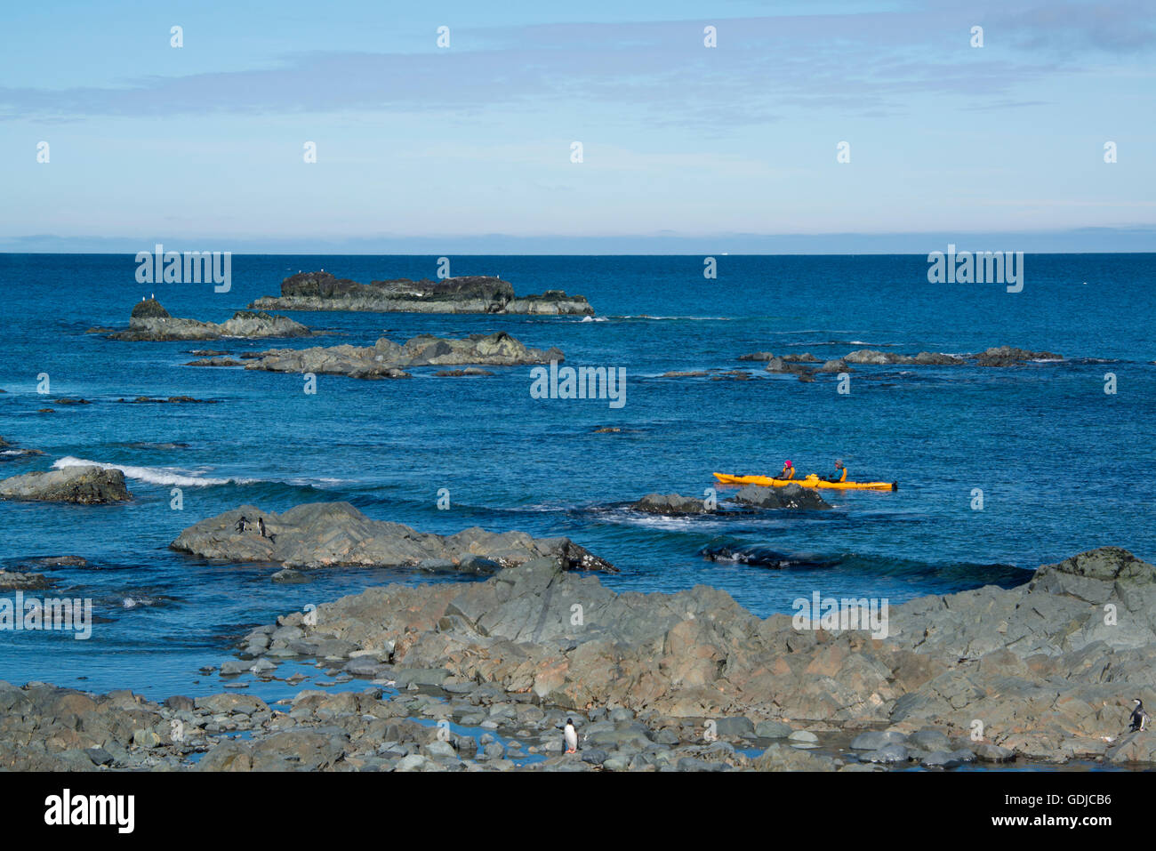 Due persone in un kayak giallo lungo la penisola antartica. Foto Stock