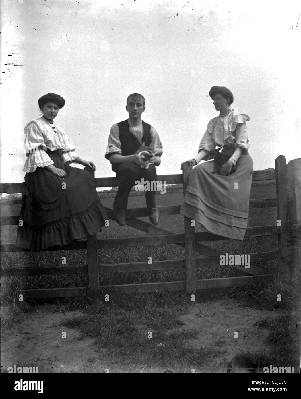Giovane uomo seduto su un recinto tenendo un gatto accompagnato da due impeccabilmente vestito di giovani donne. C1900 Fotografia di Tony Henshaw Foto Stock