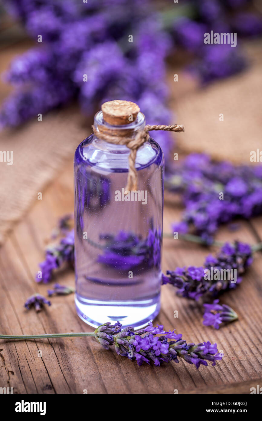 Spa olio per massaggi e freschi di fiori di lavanda Foto Stock