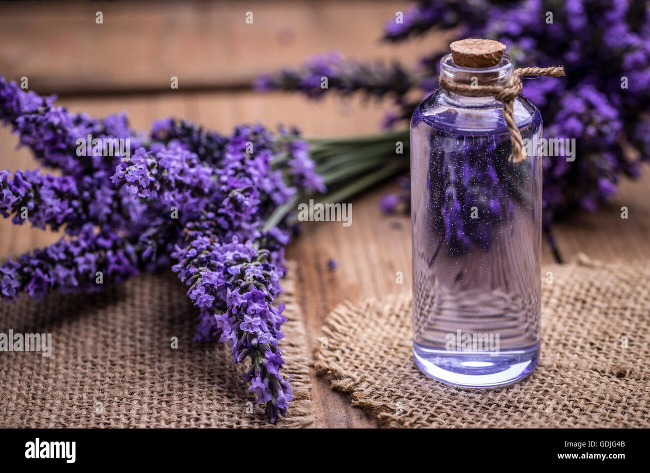 Olio di lavanda in una bottiglia di vetro su uno sfondo di fiori freschi Foto Stock