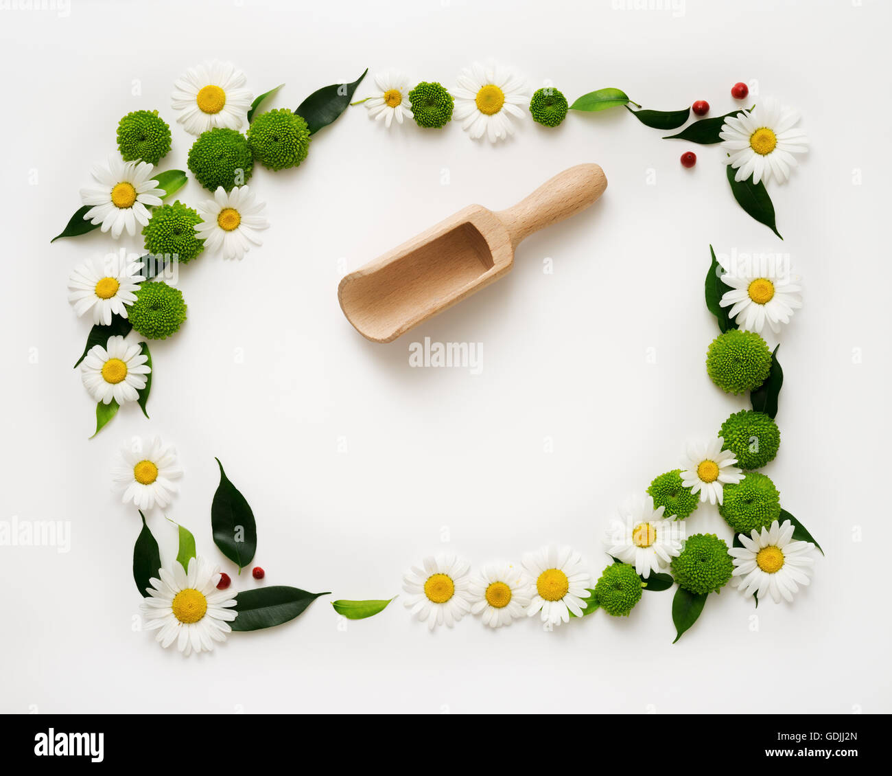 Cucchiaio di legno e lo spazio per il tuo testo o prodotto con decorazione di fiori di crisantemo e ficus foglie su sfondo bianco. 0 Foto Stock