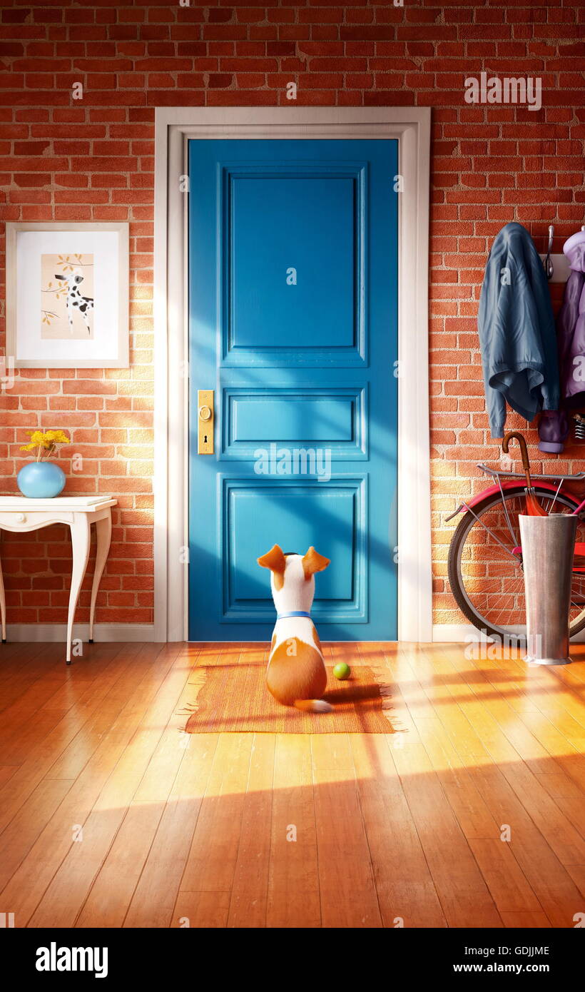 Data di rilascio: 8 luglio 2016 Titolo: vita segreta degli animali domestici STUDIO: Universal Pictures Regista: Chris Renaud, Yarrow Cheney trama: luogo in un appartamento di Manhattan building, Max la vita come un animale preferito è capovolto, quando il suo proprietario mette a casa un cagnaccio sciatta nominato Duca. Essi hanno a mettere i loro litigi dietro quando scoprono che un adorabile coniglietto bianco denominato Snowball è la costruzione di un esercito di animali abbandonati determinato di vendicarsi su tutti felici di proprietà di animali domestici e i loro proprietari starring: Jenny Slate, Ellie Kemper, Kevin Hart (voci) (credito: c Universal Pictures/Entertainment Pictures/ Foto Stock