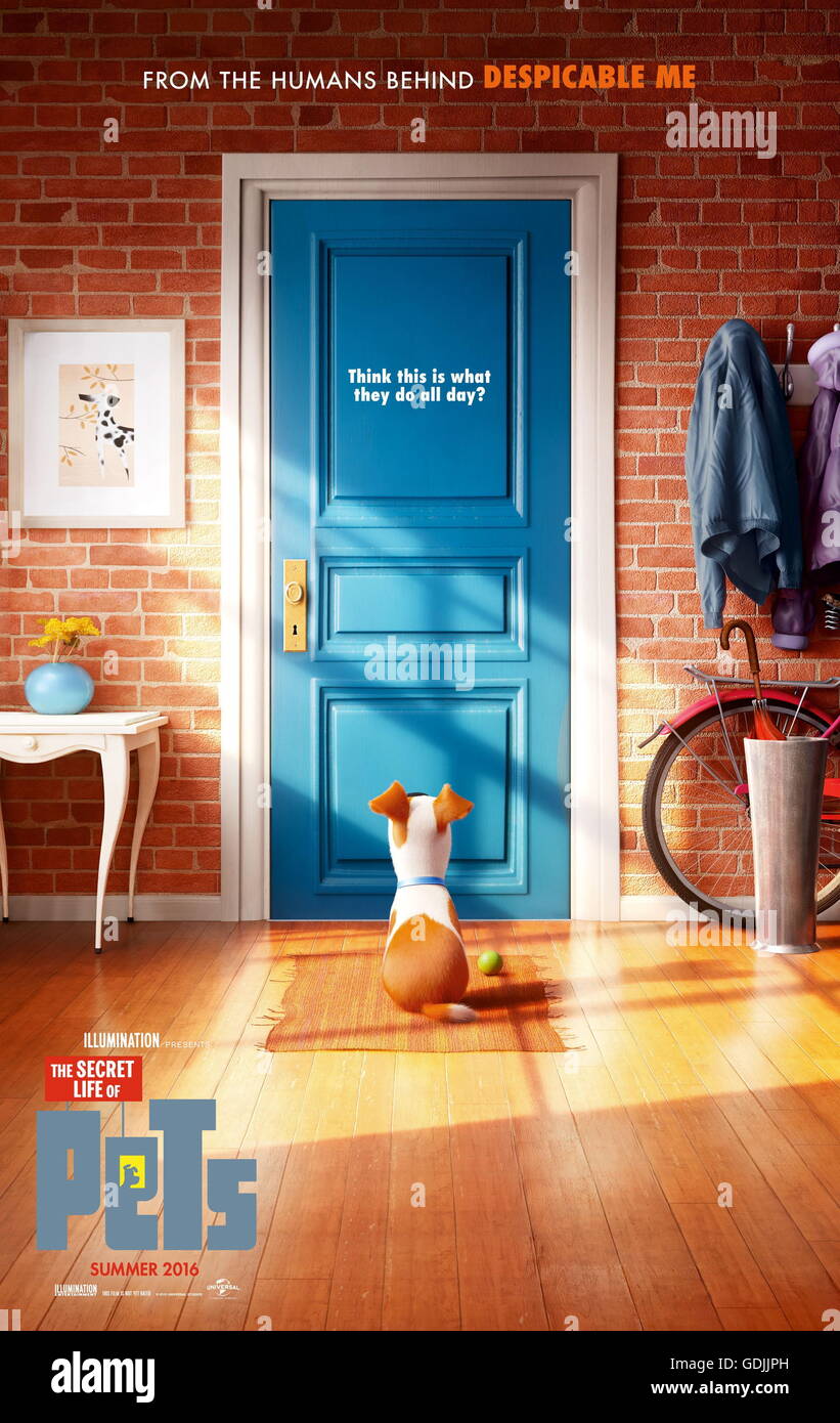 Data di rilascio: 8 luglio 2016 Titolo: vita segreta degli animali domestici STUDIO: Universal Pictures Regista: Chris Renaud, Yarrow Cheney trama: luogo in un appartamento di Manhattan building, Max la vita come un animale preferito è capovolto, quando il suo proprietario mette a casa un cagnaccio sciatta nominato Duca. Essi hanno a mettere i loro litigi dietro quando scoprono che un adorabile coniglietto bianco denominato Snowball è la costruzione di un esercito di animali abbandonati determinato di vendicarsi su tutti felici di proprietà di animali domestici e i loro proprietari starring: Jenny Slate, Ellie Kemper, Kevin Hart (voci) (credito: c Universal Pictures/Entertainment Pictures/ Foto Stock