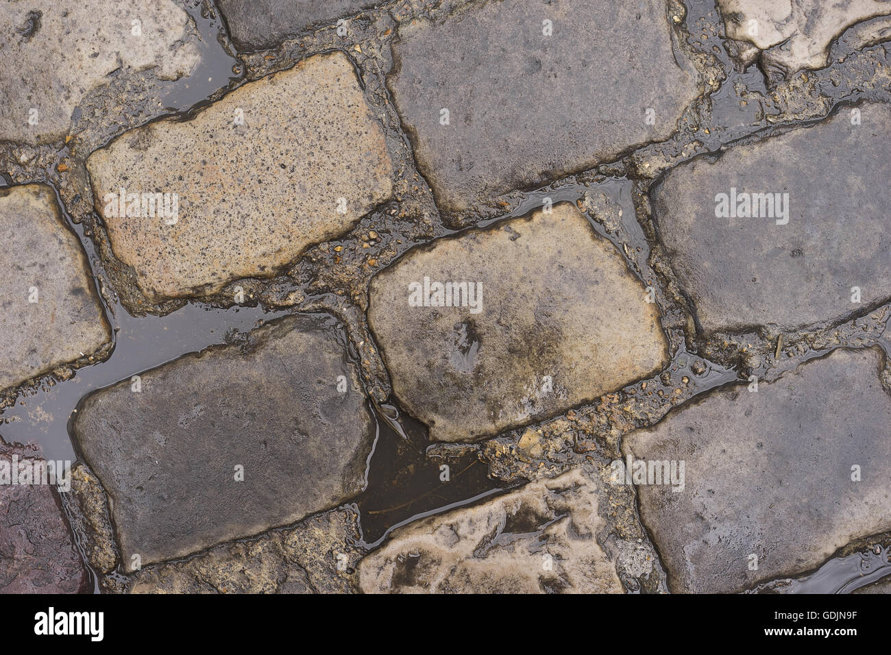 Pozze di acqua piovana sul bagnato strada acciottolata Foto Stock