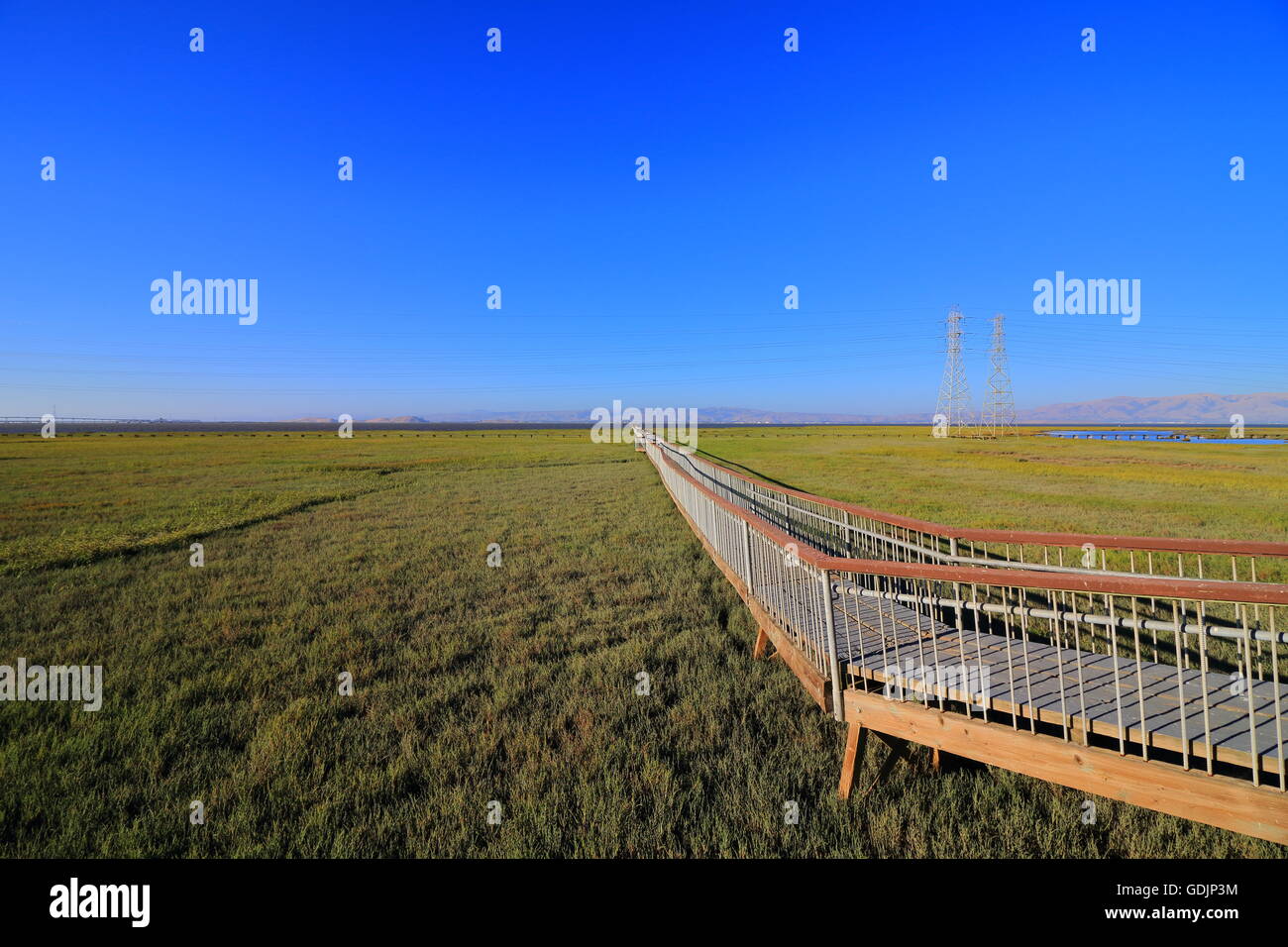 Il Boardwalk a Palo Alto Baylands. Foto Stock