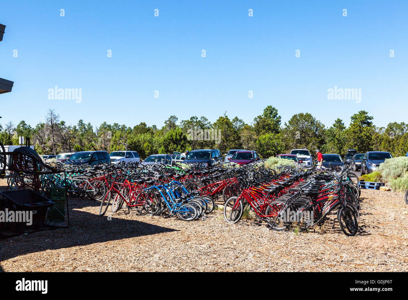 Le biciclette a noleggio presso il bordo Sud del Grand Canyon Foto Stock