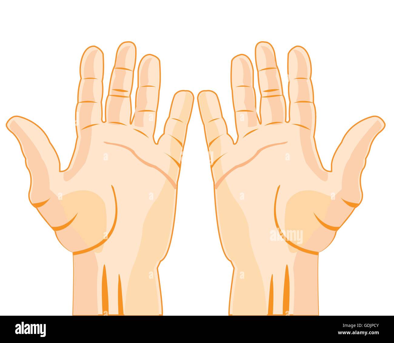 Palm stirata della persona Illustrazione Vettoriale