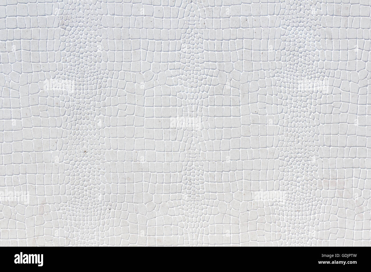 Pelle di coccodrillo in pelle bianca di sfondo texture Foto Stock