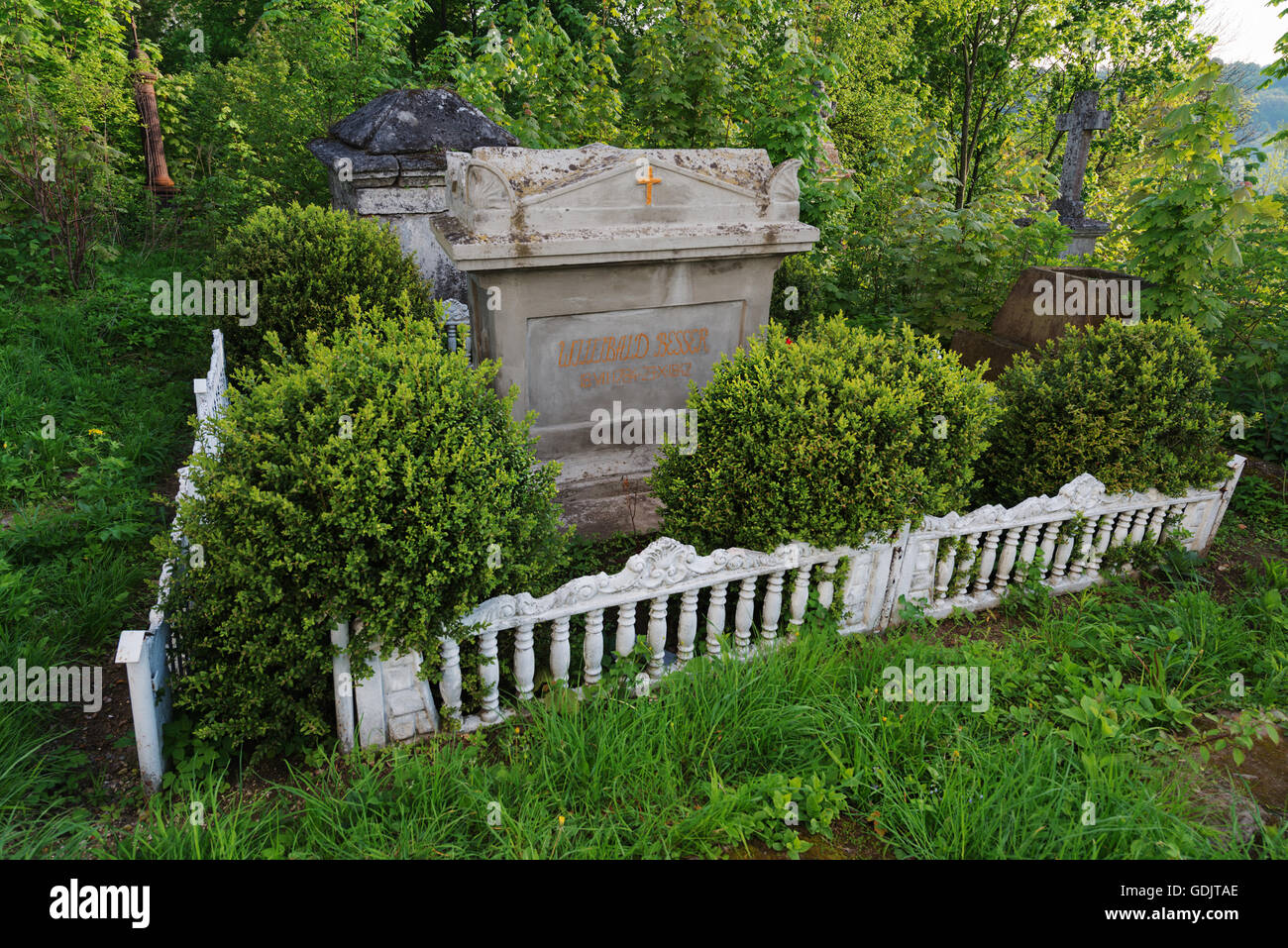 Tomba del botanico Willibald Besser in Kremenets (Ternopil regione, Ucraina) Foto Stock