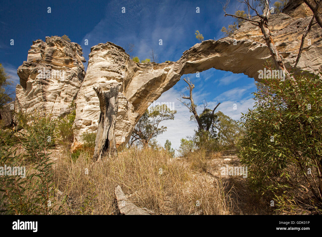 La pietra arenaria naturale arch a Mount Moffatt / Carnarvon Parco Nazionale in Australian Outback paesaggio di ciuffi di erba e gli alberi sotto il cielo blu Foto Stock