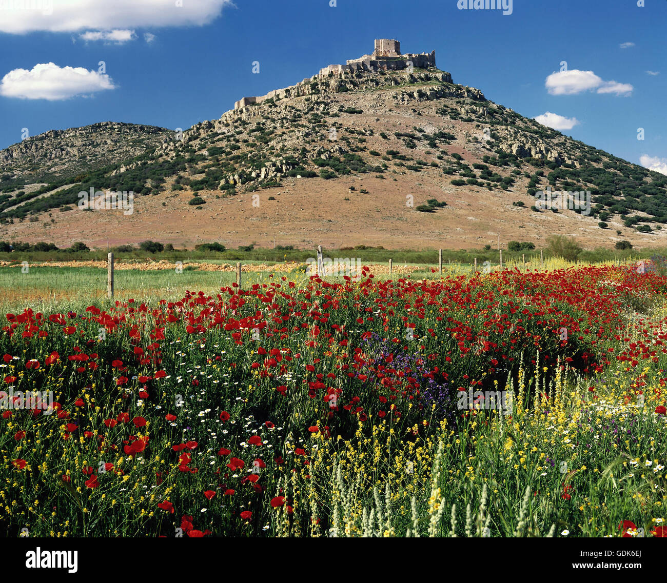 Geografia / viaggi, Spagna, paesaggi, La Mancha, Castiglia, Calatrava la Nueva, Foto Stock