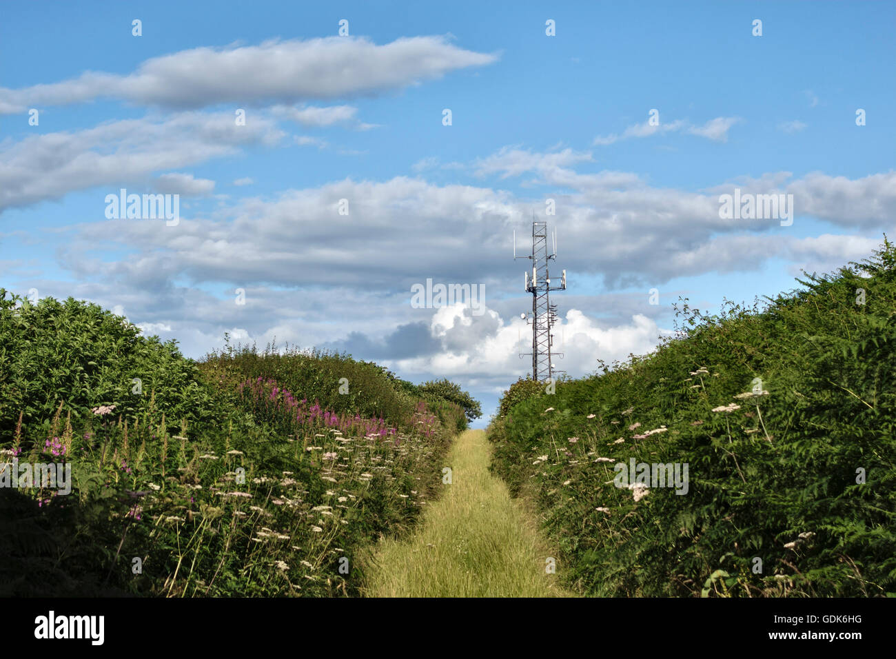 Herefordshire, Regno Unito. Un telefono cellulare il montante in campagna Foto Stock