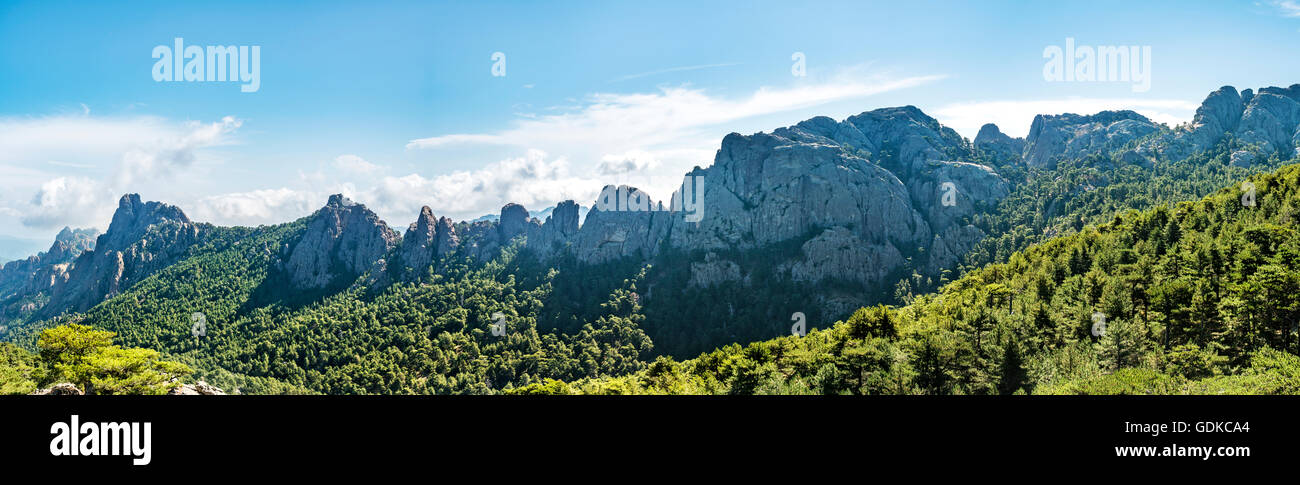 La gamma della montagna con picchi rocciosi circondata da pineta, Col de Bavella, il massiccio di Bavella, Corsica, Francia Foto Stock