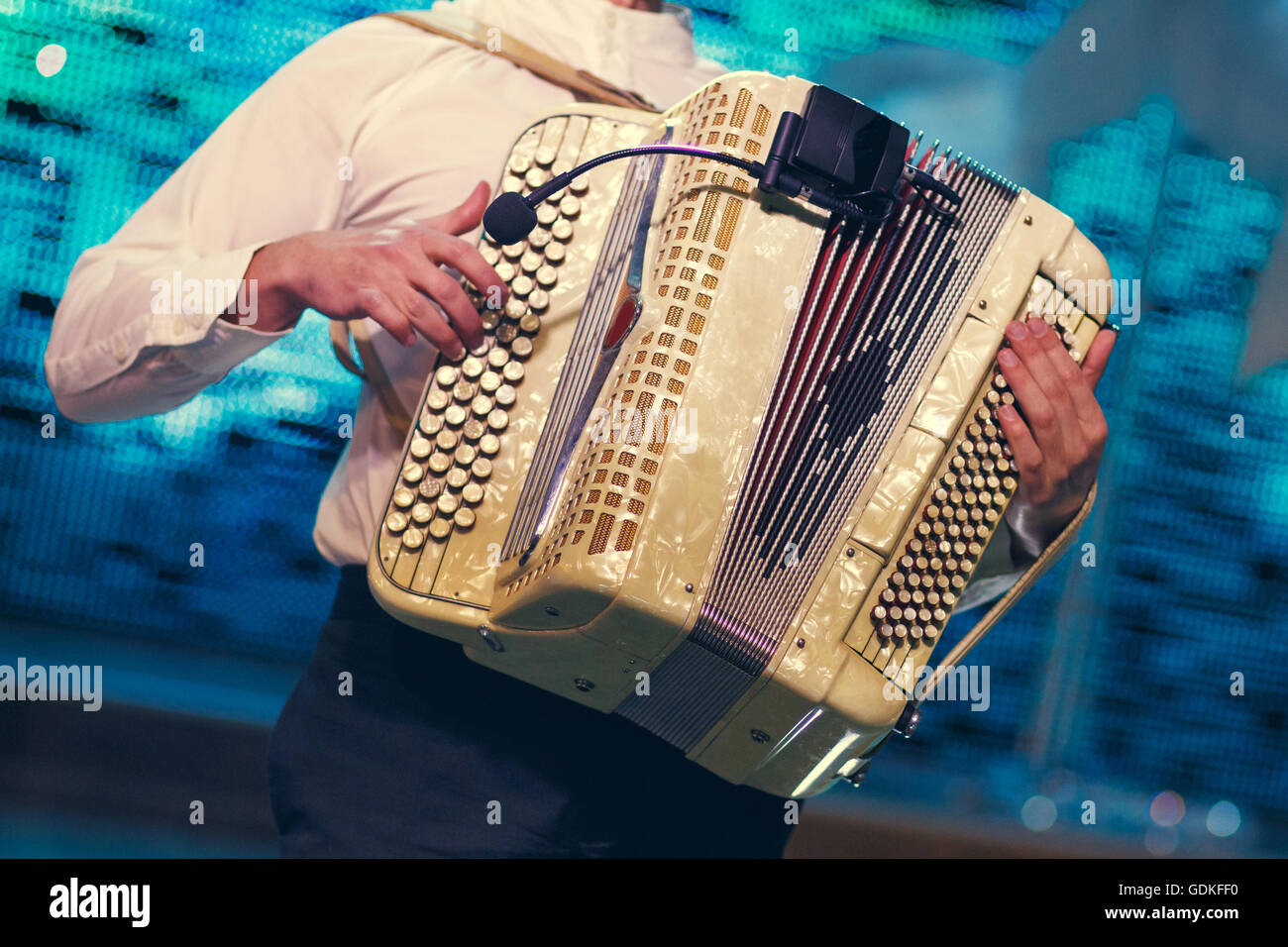 Musicista che suona la fisarmonica immagini e fotografie stock ad alta