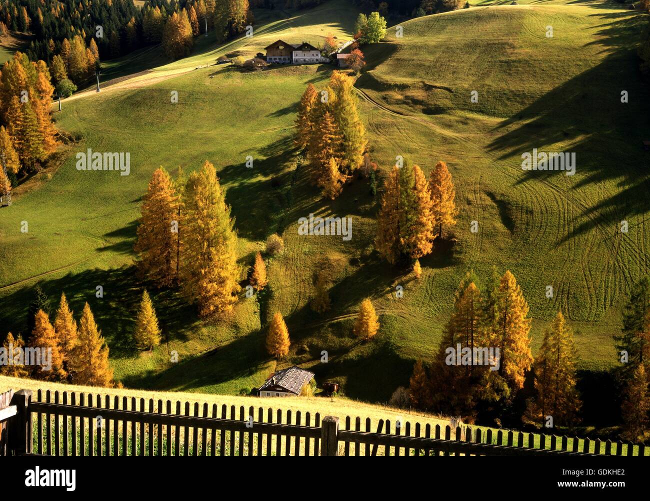 Geografia / viaggi, Austria, Tirolo, paesaggi, paesaggio alpino con delle aziende agricole di montagna vicino a Gries a Brennero, Foto Stock