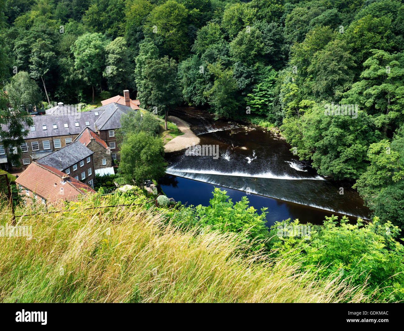 Mulini a castello ex mulino di lino e doppio Weir nel fiume Nidd dal Castello Knaresborough North Yorkshire, Inghilterra Foto Stock