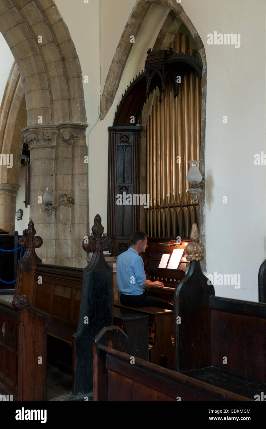 Un uomo suona l'organo in San Egelwin la Chiesa, Scalford, Leicestershire, England, Regno Unito Foto Stock
