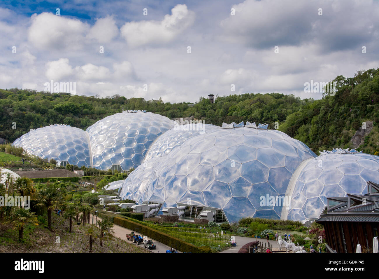 La biomi all'Eden Project in Cornwall, Regno Unito Foto Stock