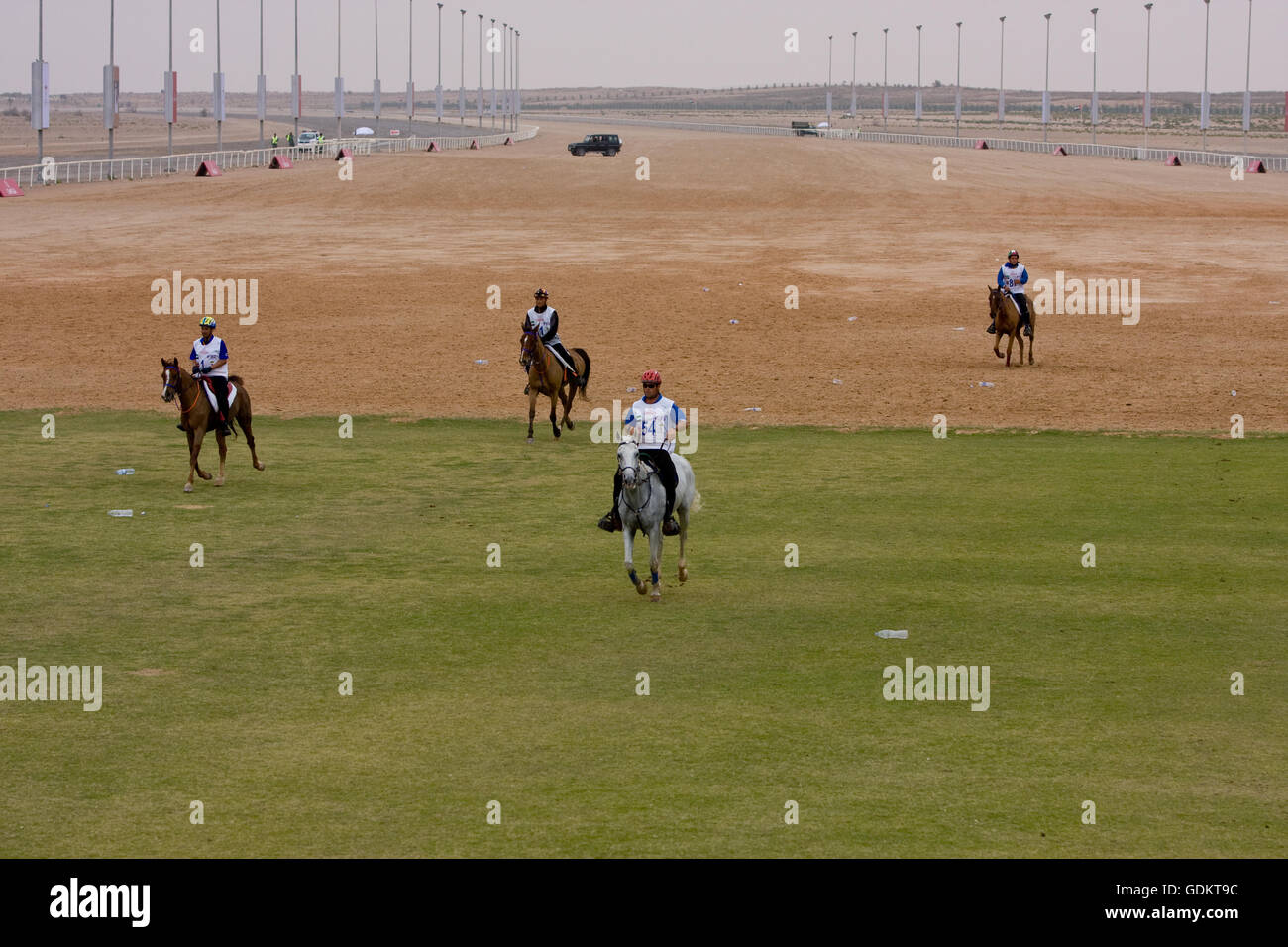 Maktoum Endurance Cup 2008. Foto Stock