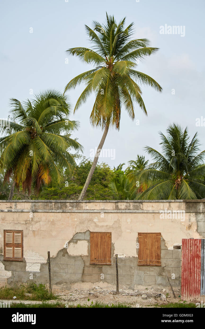 Le Piccole Antille Barbados parrocchia Saint Michael west indies capitale Bridgetown Saint Lawrence Gap, Palm tree building Foto Stock