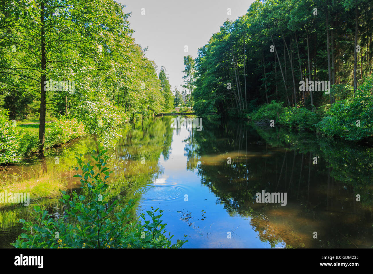Visualizzazione del livello di allevamento di pesci stagni vicino alla foresta e la strada Foto Stock
