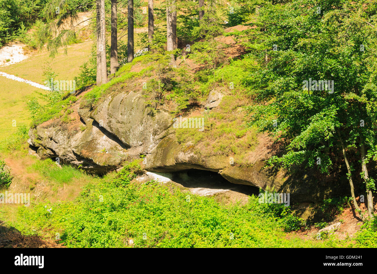 Vista la roccia sul bordo della foresta Foto Stock
