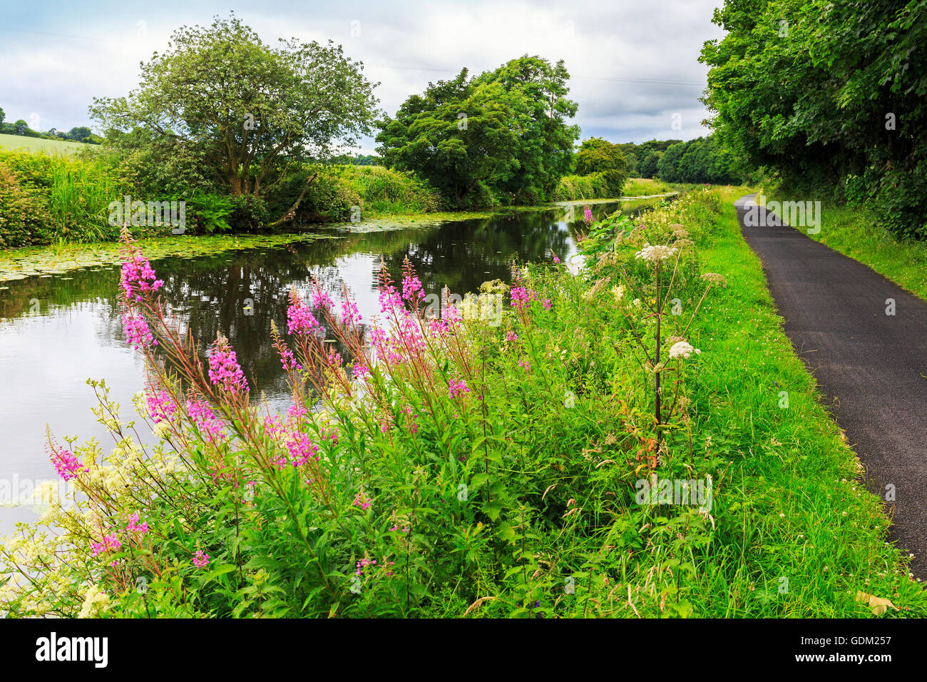 Canale di Forth e Clyde, vicino Kirkintilloch, vicino a Glasgow, Scotland, Regno Unito Foto Stock