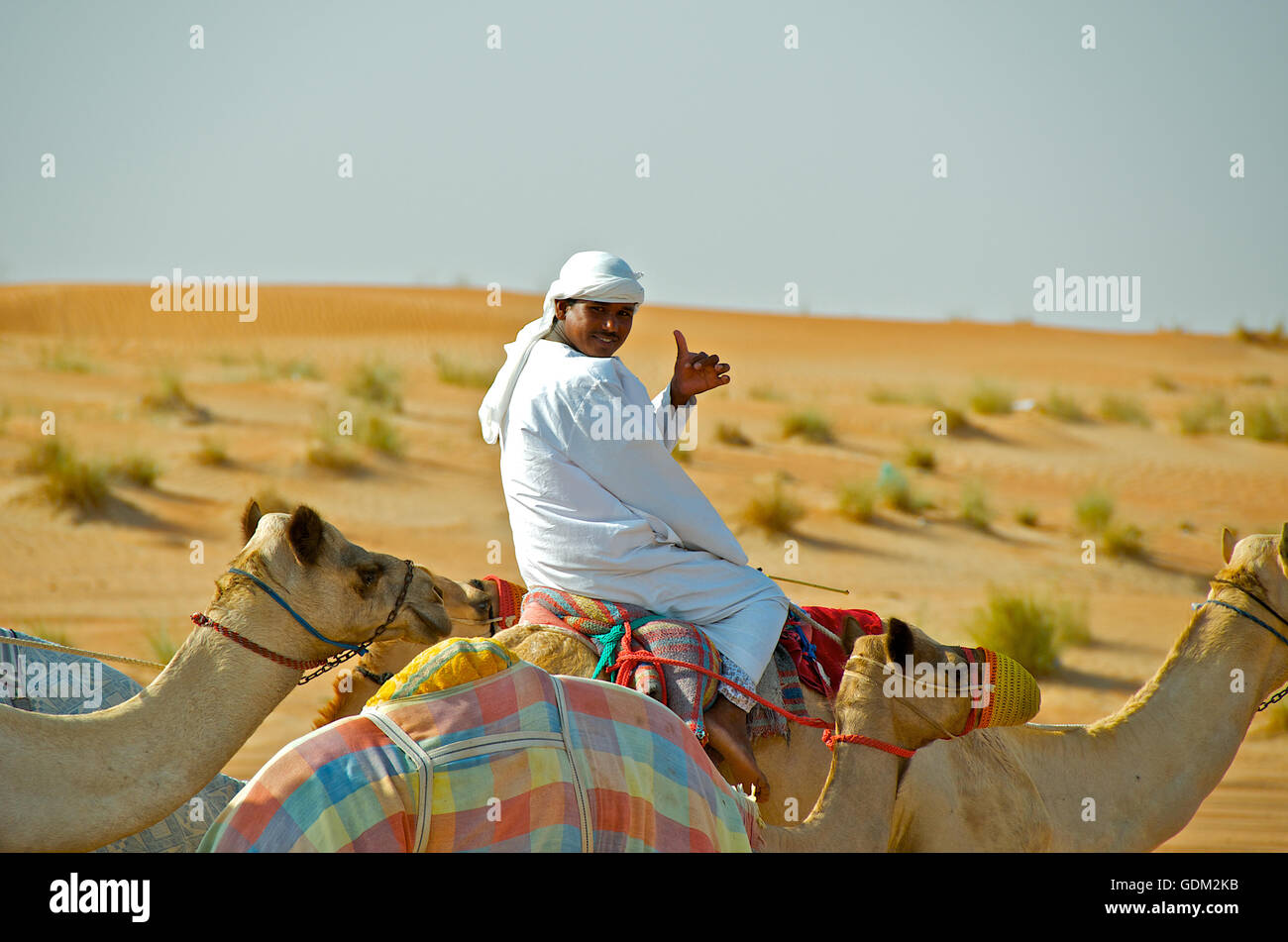 Un giovane uomo Emirati dà un pollice in su mentre a dorso di un cammello. Foto Stock