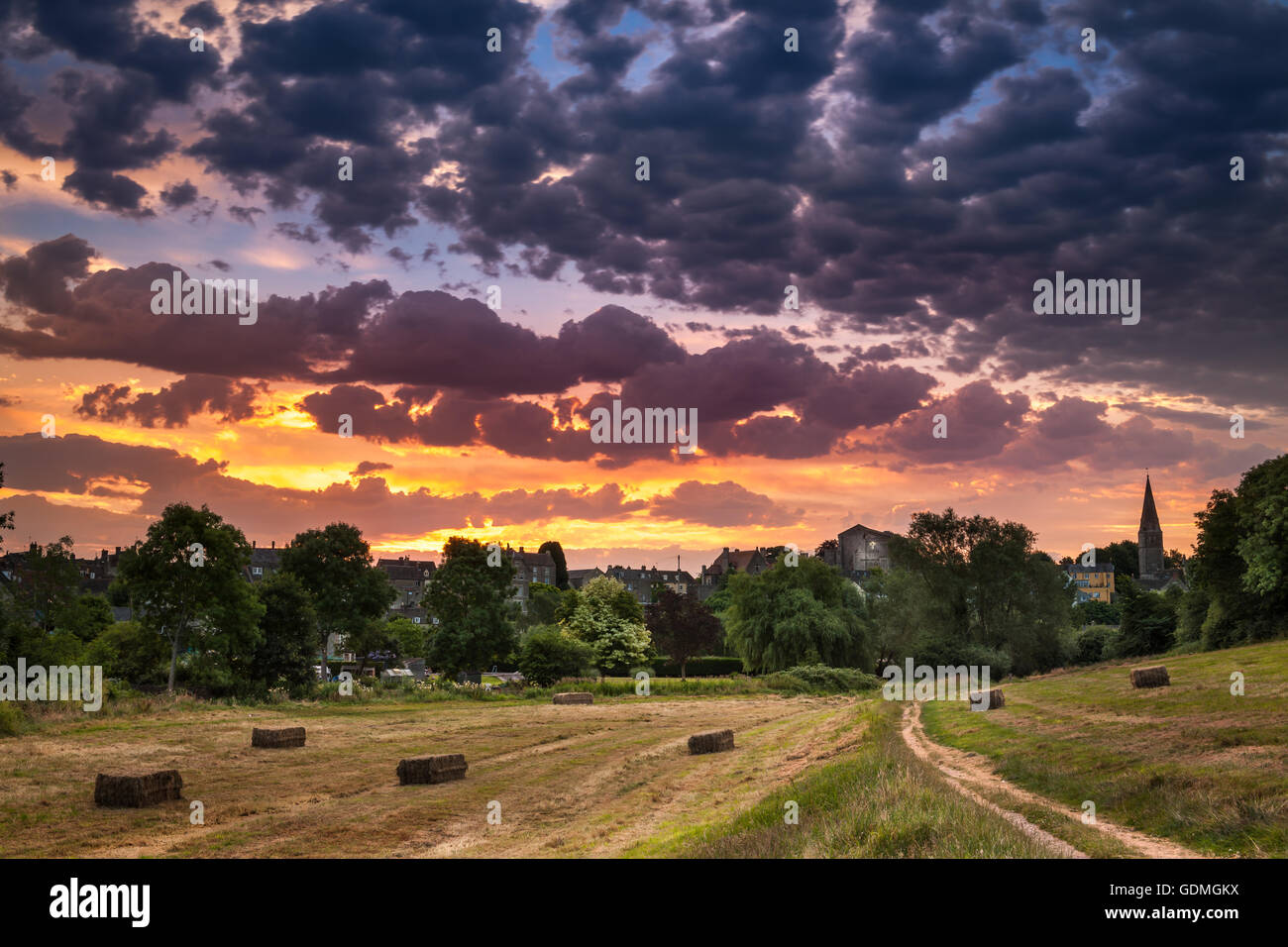 Prato prima luce Foto Stock