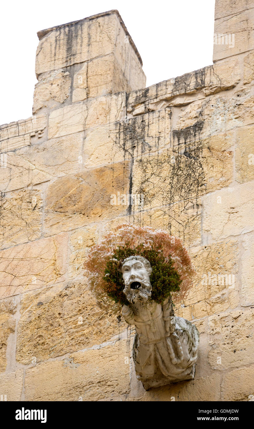 Gargoyle, doccioni sulla facciata della chiesa vecchia Cattedrale (Sé Velha), la vecchia città di Coimbra Coimbra, Distretto di Coimbra, Portogallo, Foto Stock
