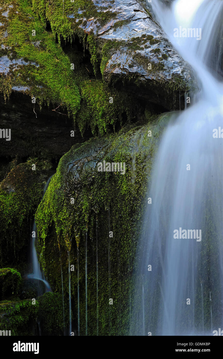 Bella cascata nella foresta verde Foto Stock