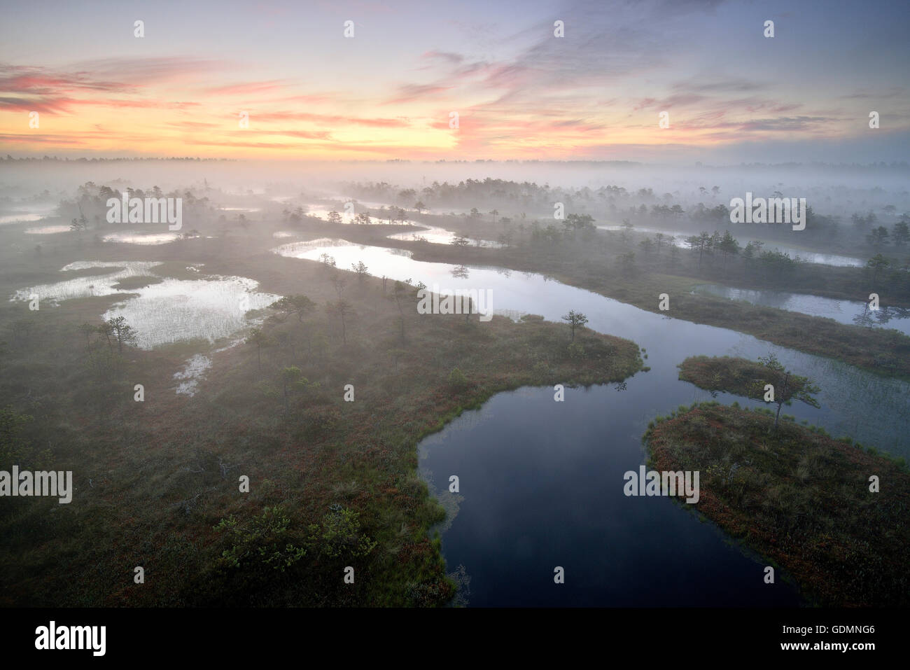 Sunrise in zone umide Foto Stock